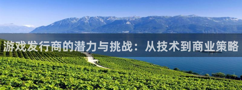 陕西火狐电竞app官网子文化创意有限公司1：游戏发行商的潜力与挑战：从技术到商业策略