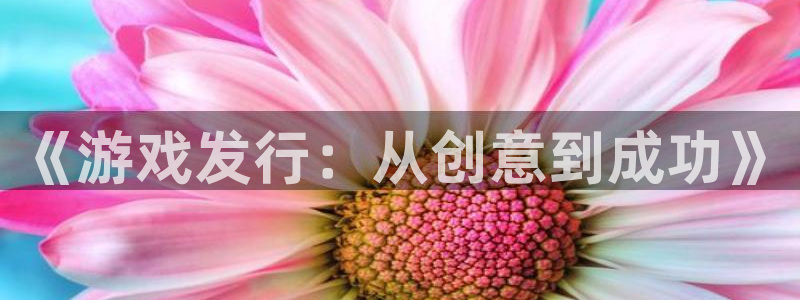火狐电竞登录注册账号是什么样的：《游戏发行：从创意到成功》