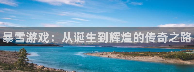 火狐电竞app官网子市值