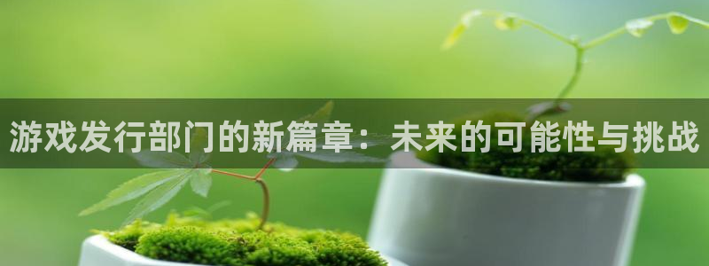 火狐电竞注册登录不了：游戏发行部门的新篇章：未来的可能性与挑战