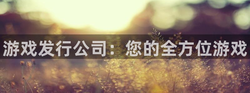 火狐电竞app官网啤酒怎么样：游戏发行公司：您的全方位游戏