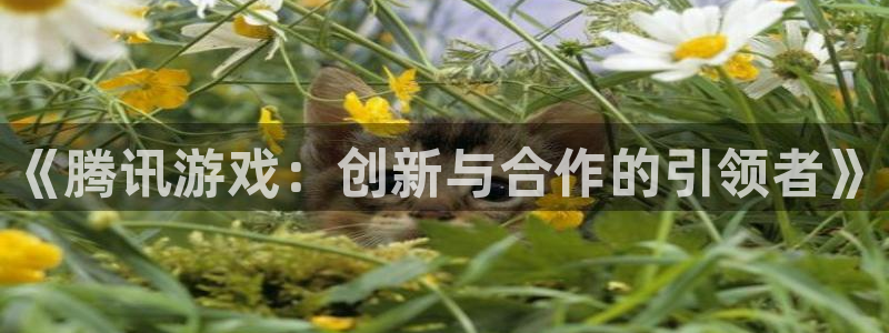 广州火狐电竞app官网运动服