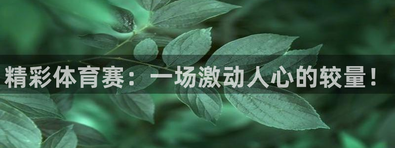 51视频在线直播nba：精彩体育赛：一场激动人心的较量！