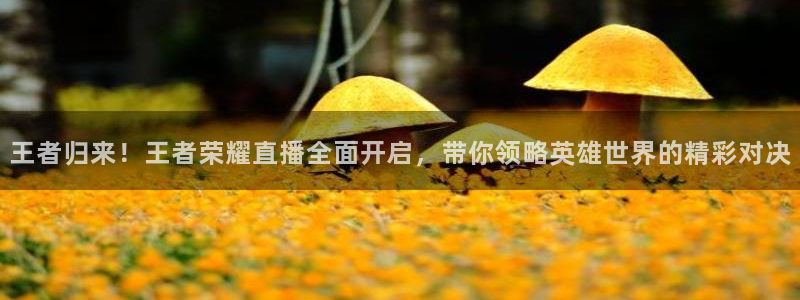 51视频在线直播nba：王者归来！王者荣耀直播全面开启，带你领略英雄世界的精彩对决