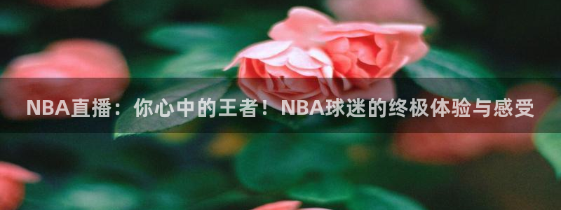 51视频在线直播nba：NBA直播：你心中的王者！NBA球迷的终极体验与感受