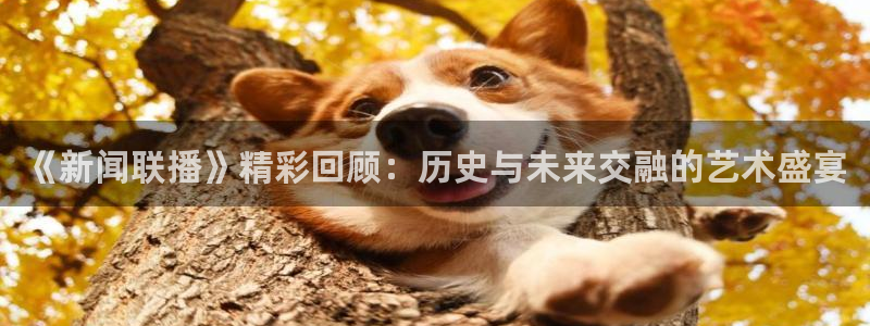 51视频在线直播nba：《新闻联播》精彩回顾：历史与未来交融的艺术盛宴