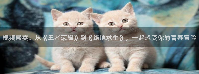 51视频在线直播nba：视频盛宴：从《王者荣耀》到《绝地求生》，一起感受你的青春冒险