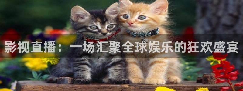 51视频在线直播nba：影视直播：一场汇聚全球娱乐的狂欢盛宴