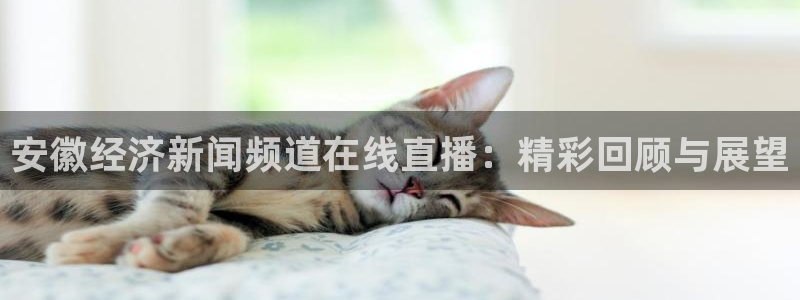 51视频在线直播nba：安徽经济新闻频道在线直播：精彩回顾与展望